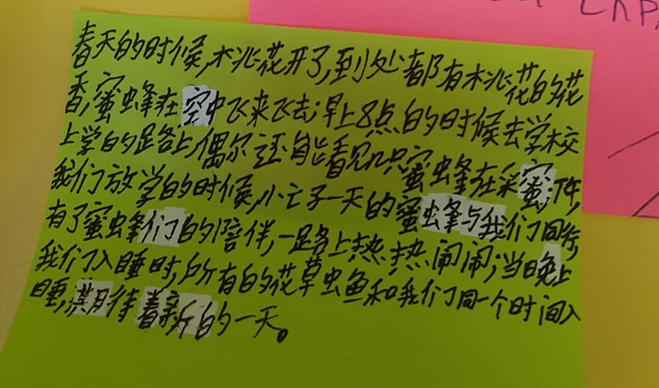 45898871_2134423416610074_2654293323686084608_n