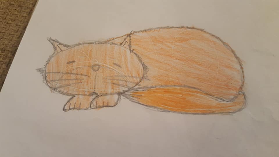 50411453_2263791400339941_3274516395416616960_n