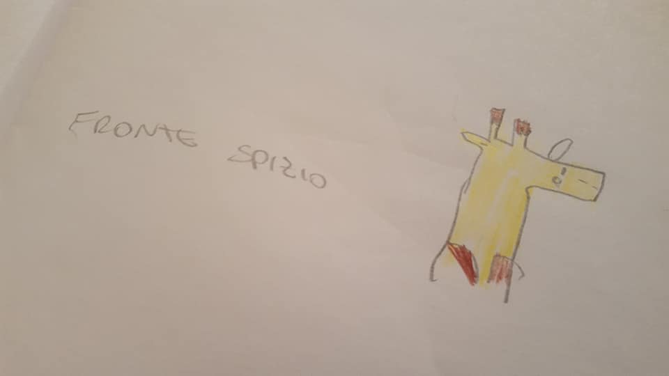 50477412_2263791520339929_2248407072989249536_n