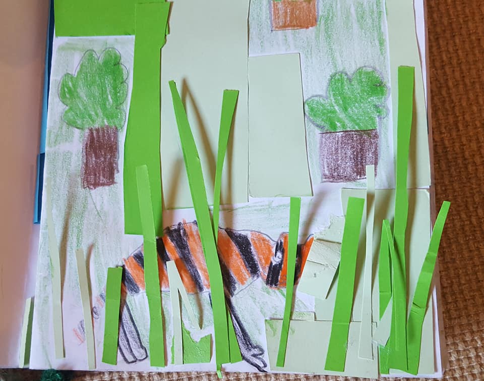 50597979_2267293953323019_6460610963375652864_n