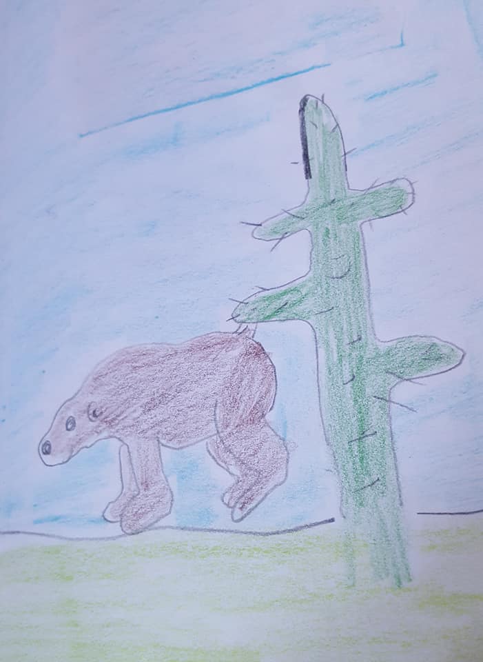 50604599_2267288346656913_3244246342087737344_n