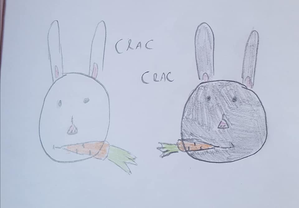 50773182_2267294293322985_5557163119488270336_n