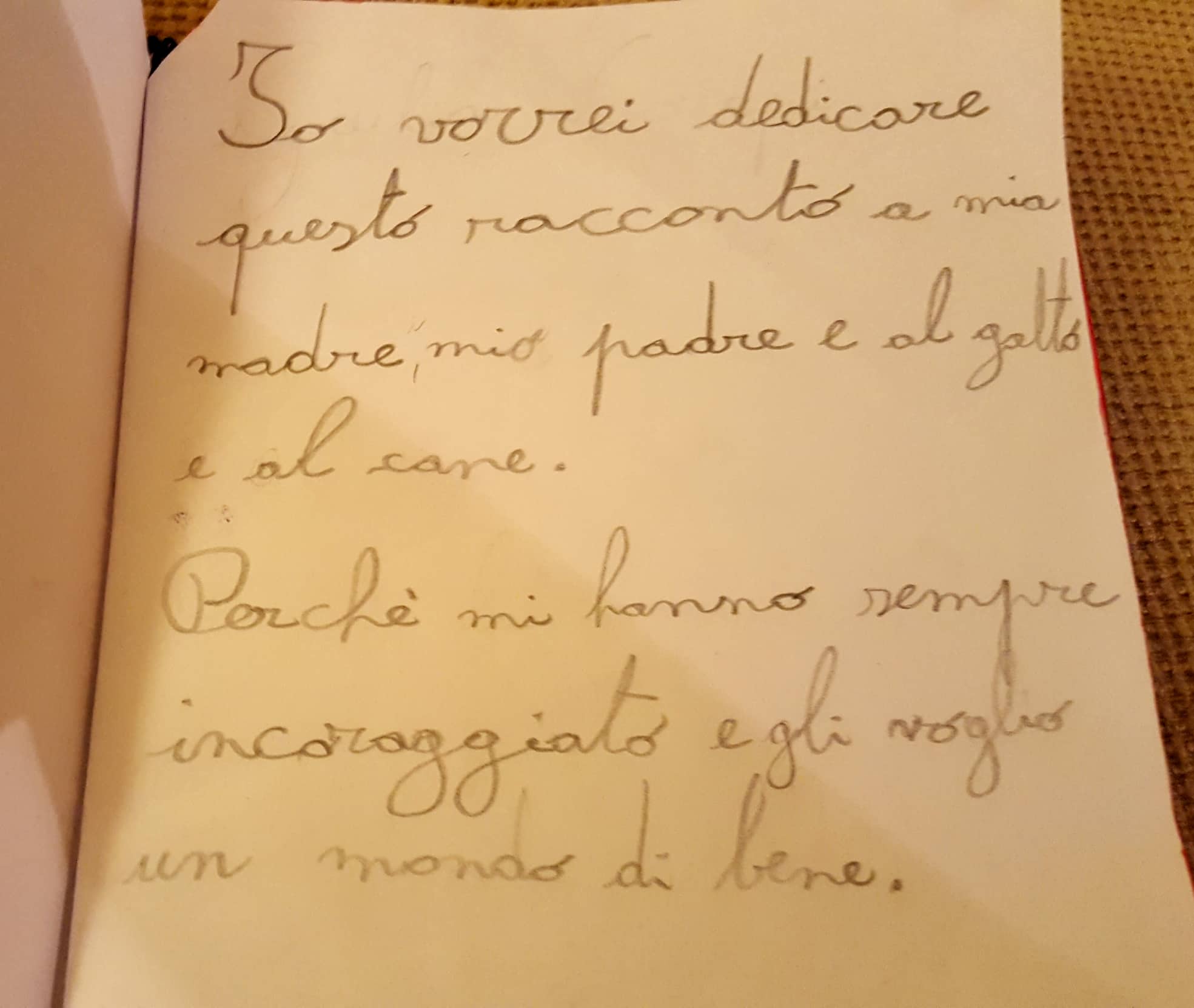 50778303_347230925861629_1632884263143604224_n