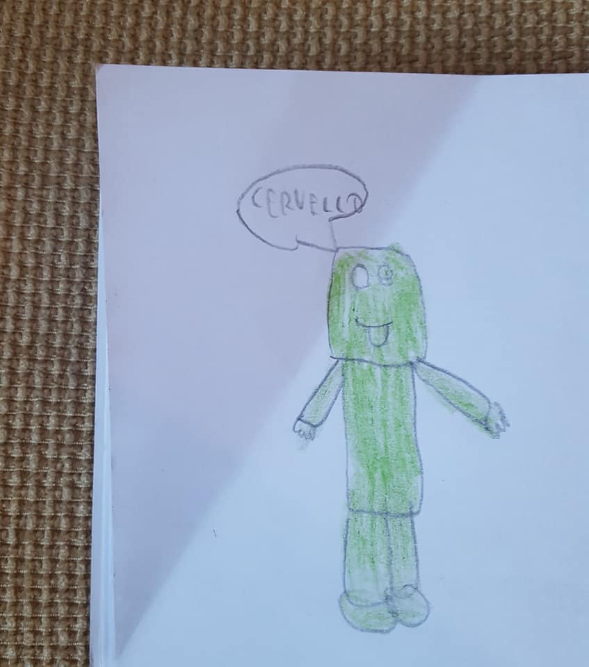 50795453_2267288589990222_3144362853234900992_n