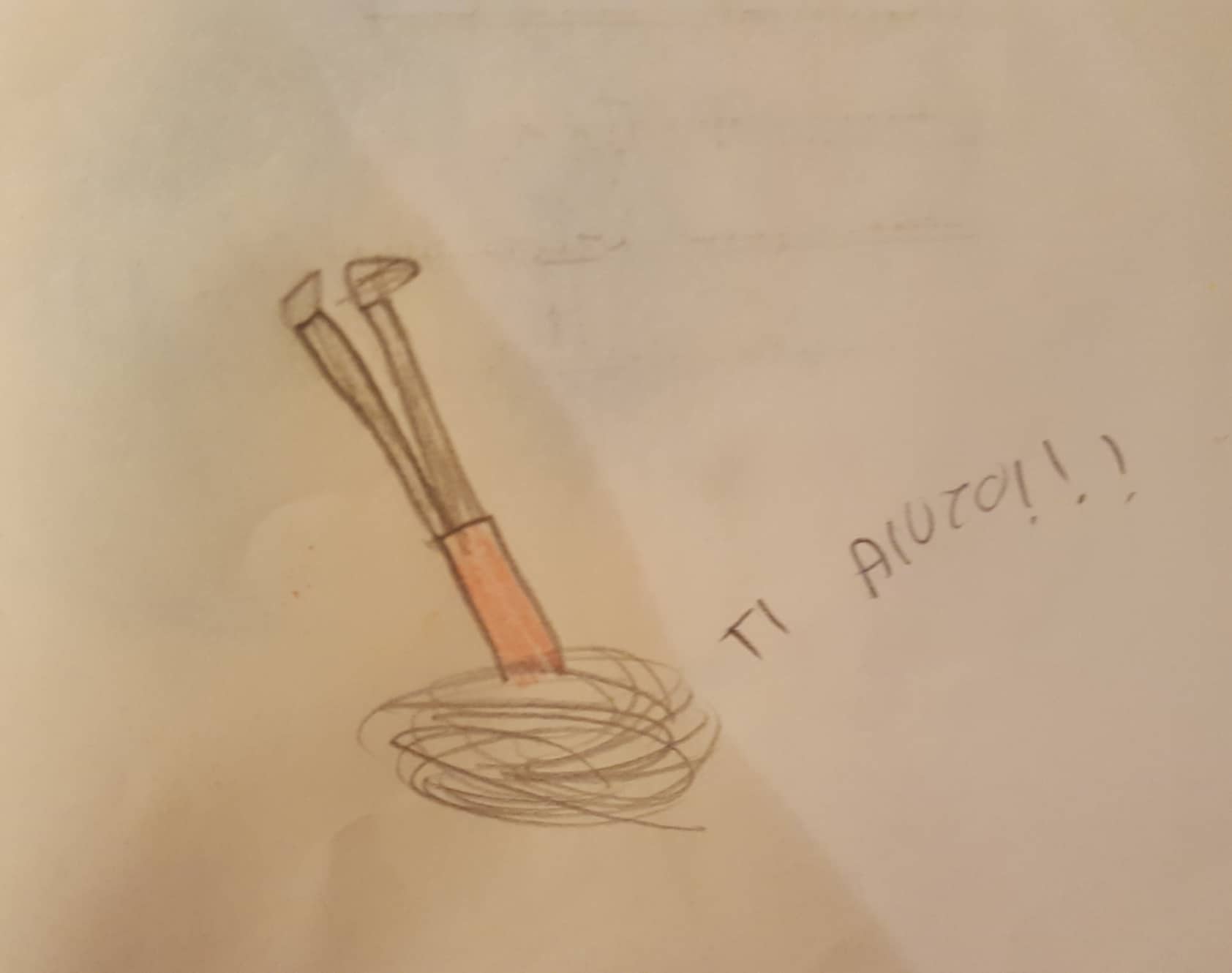 50847875_409762472921672_449913492296695808_n