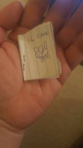 50903746_2144601152268790_8465473672486846464_n