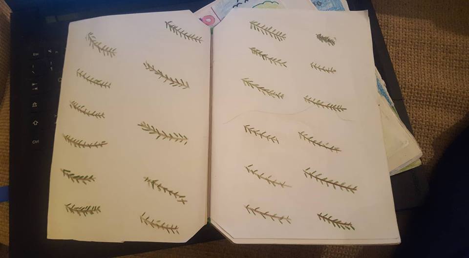 51070830_832477647096942_2574329845907456000_n