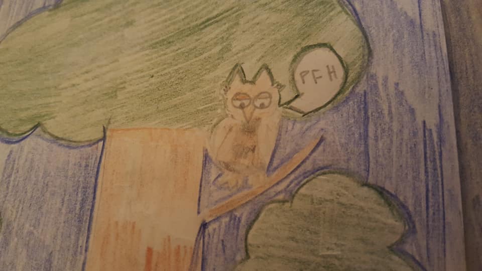 51161271_2275539185831829_1659501257808674816_n