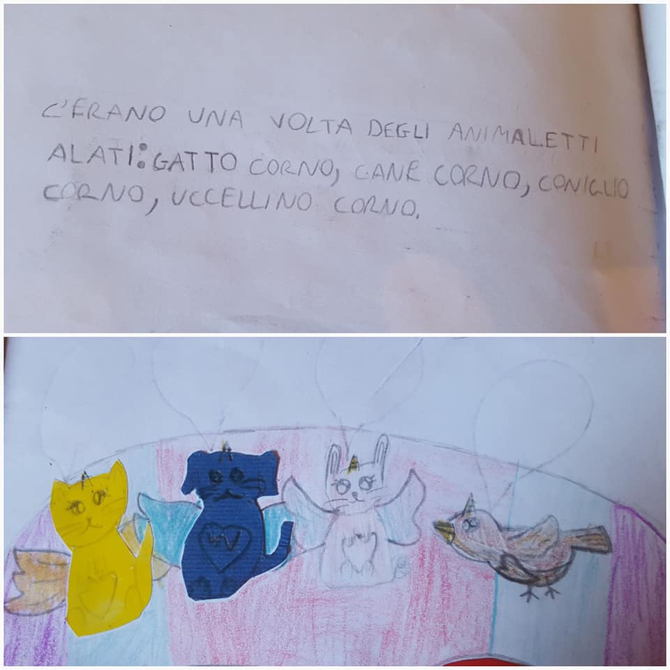 51311817_2267295069989574_2065061477538070528_n