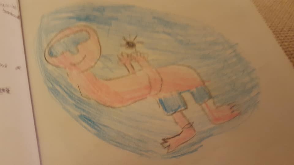 51378932_2275538642498550_8438862866869649408_n