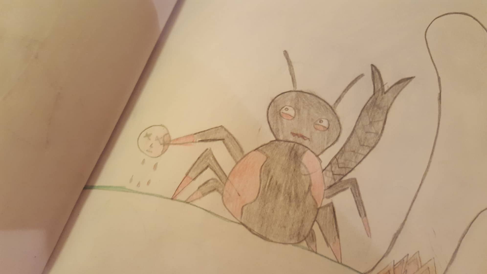 51508138_2018296068217412_4107142066838962176_n