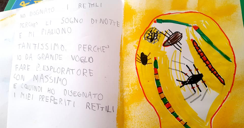 52181554_2314419005277180_1413573754017021952_n_2314419001943847