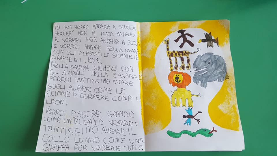 52736420_2330120103707070_8727472501518499840_n_2330120100373737