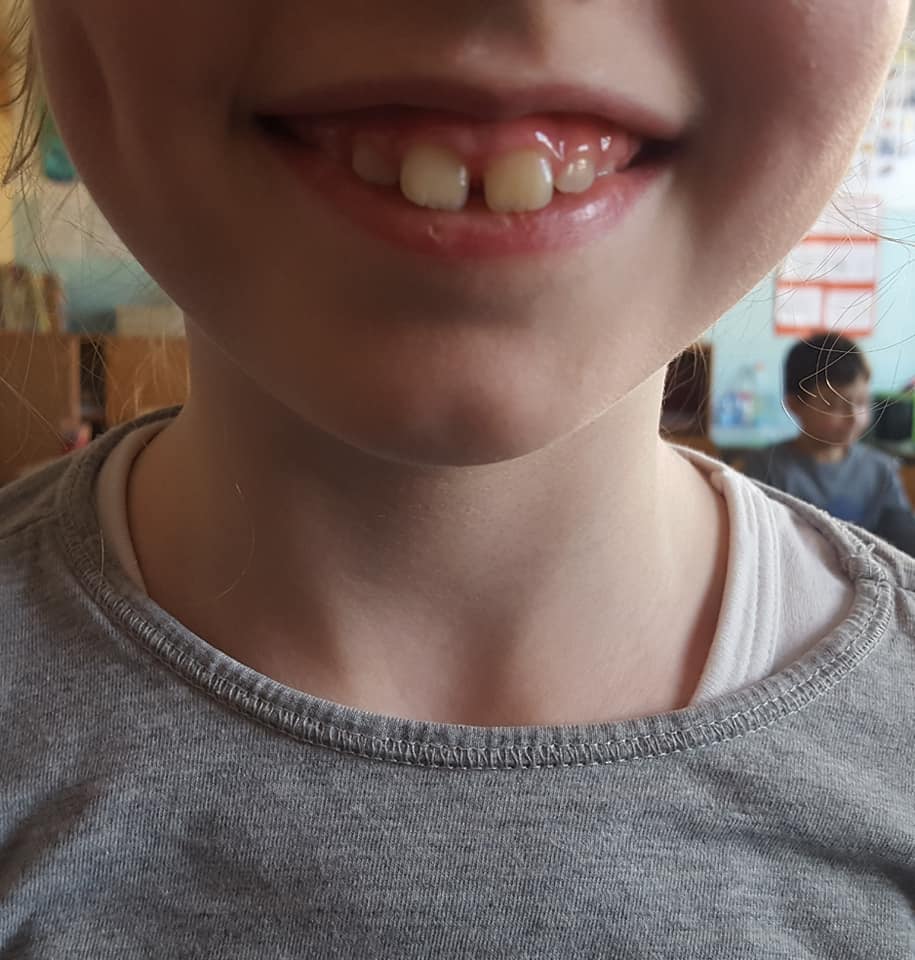 52935431_2330121360373611_8267952911137374208_n_2330121353706945