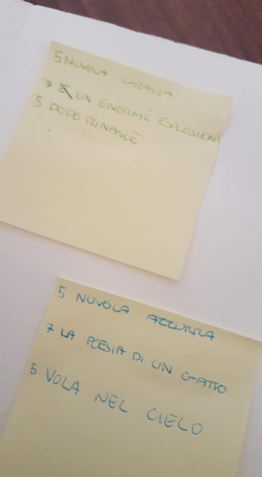 53111029_2329859867066427_6010376740101160960_n_2329859860399761