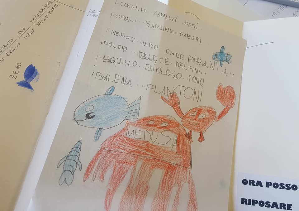 53305592_2352389444813469_7223865173436530688_n_2352389441480136