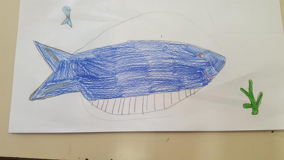 53451998_2349383595114054_1267726611789119488_n_2349383591780721