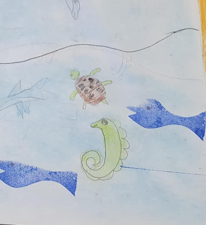 53518728_2355212751197805_5301719299608543232_n_2355212744531139