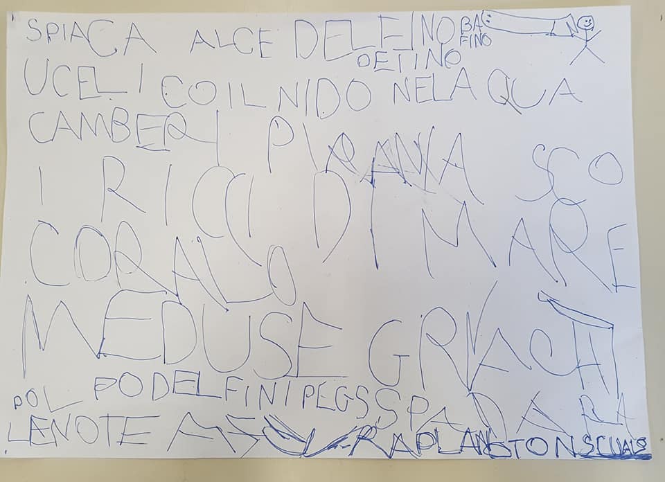 53545825_2349383295114084_1545558670253752320_n_2349383285114085