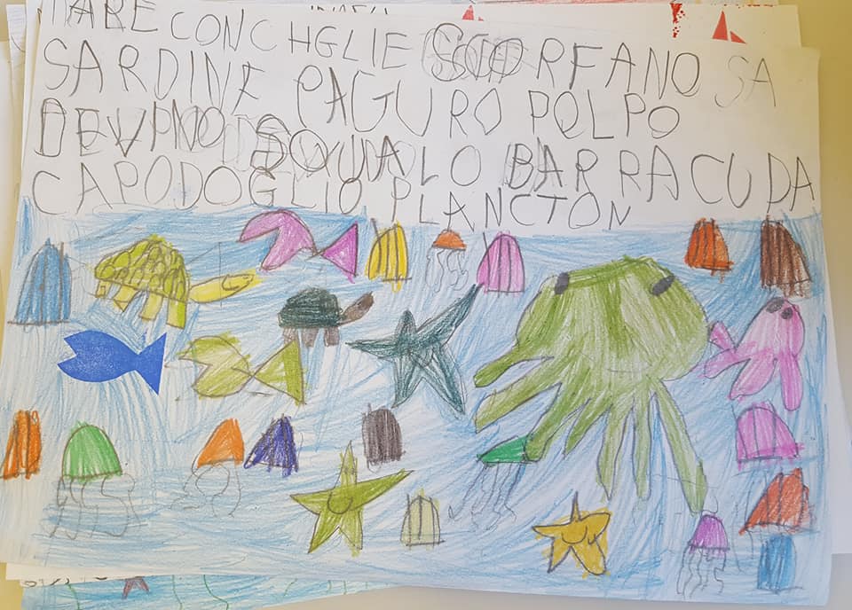 53691259_2355211744531239_1737226550819946496_n_2355211741197906