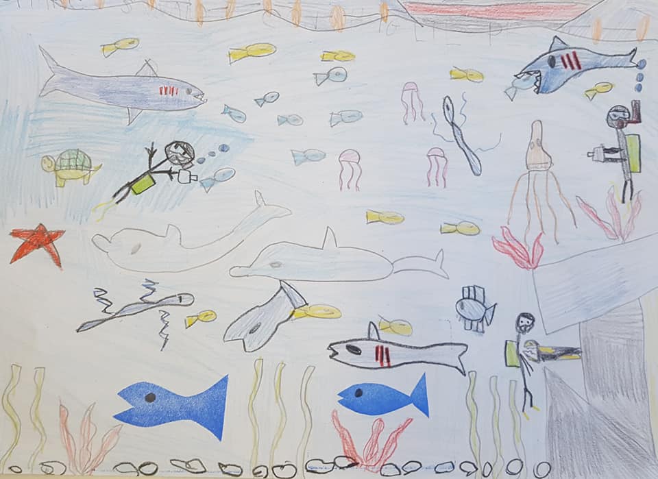 53698392_2355210777864669_1306840582601048064_n_2355210774531336