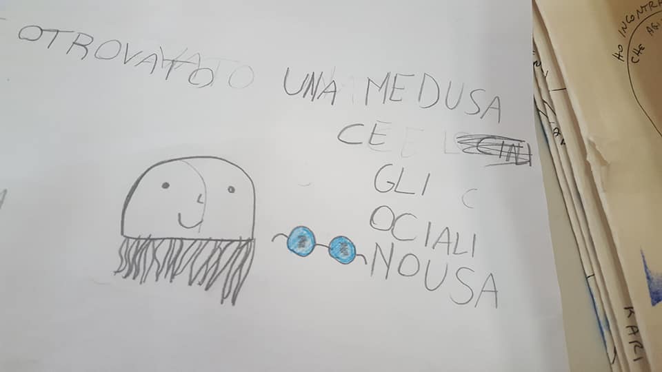 53723665_2349383848447362_8587099990894051328_n_2349383841780696