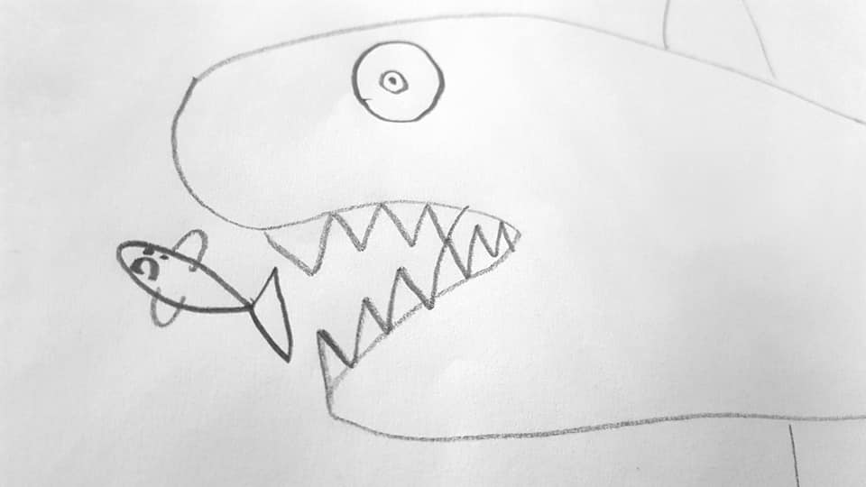 53749552_2352389374813476_7823515613812228096_n_2352389368146810