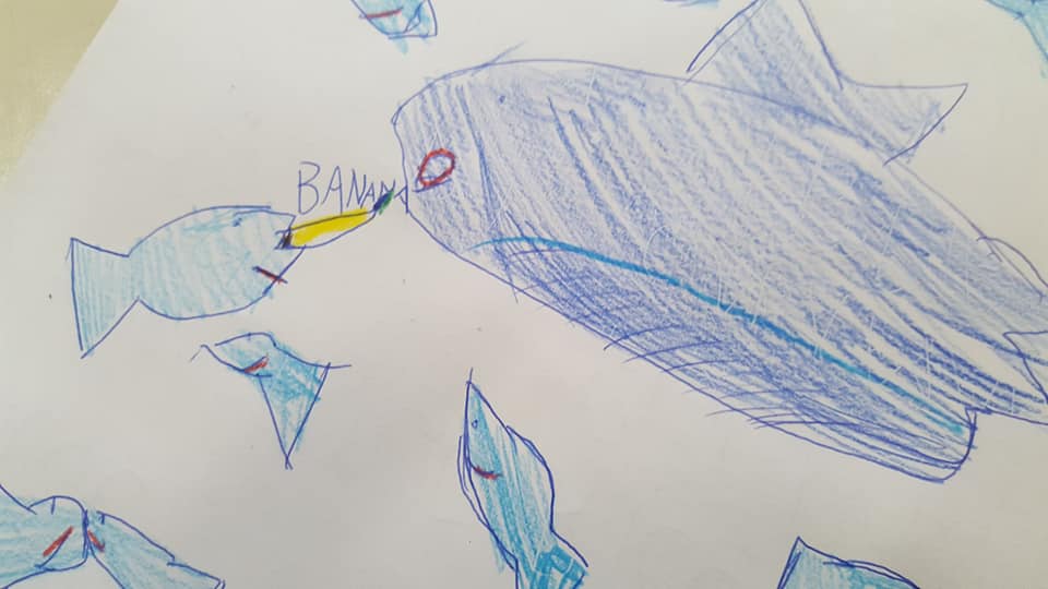 53761166_2349383775114036_391194344398258176_n_2349383768447370