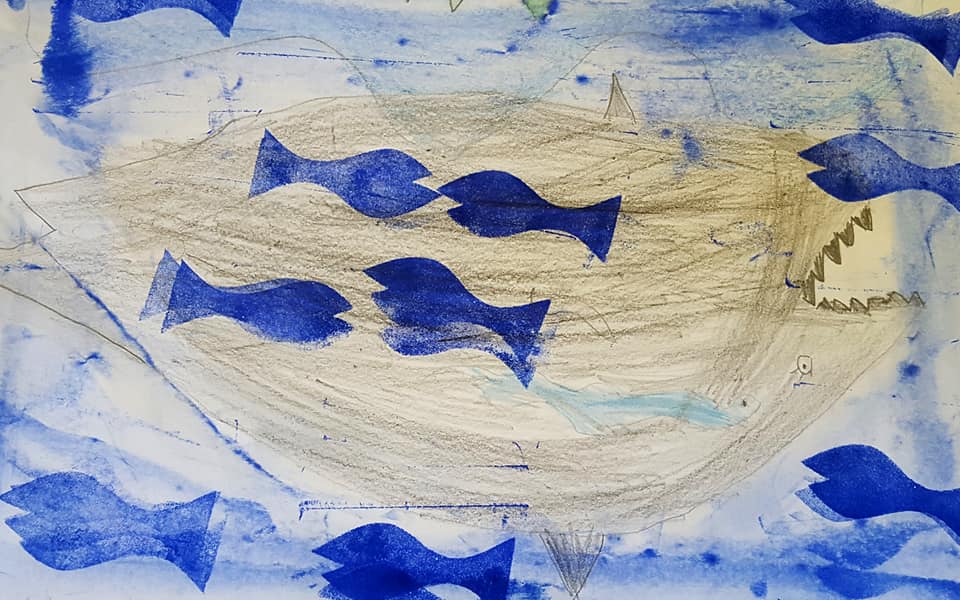 53761237_2355213061197774_1712667781792530432_n_2355213051197775