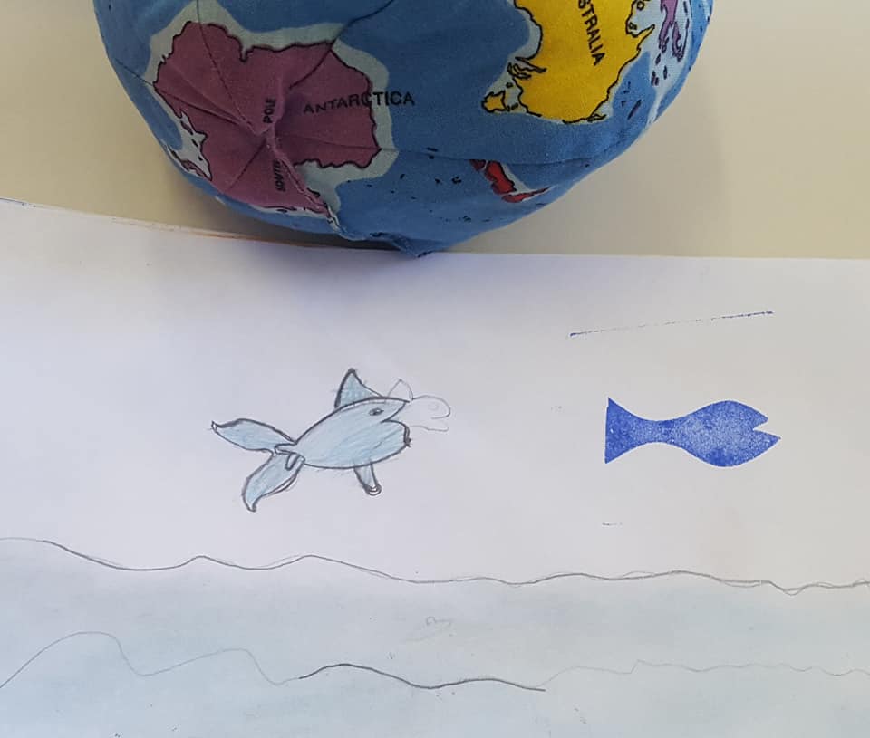 53794445_2355212394531174_7973502125260931072_n_2355212391197841