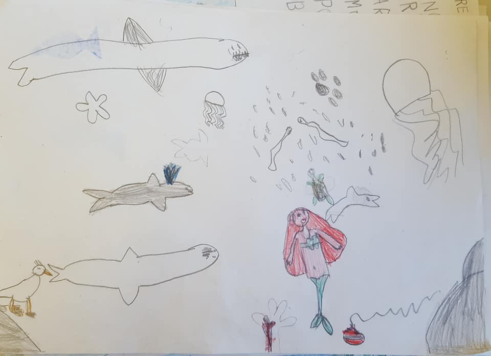 53837185_2355210964531317_3066003897928646656_n_2355210961197984