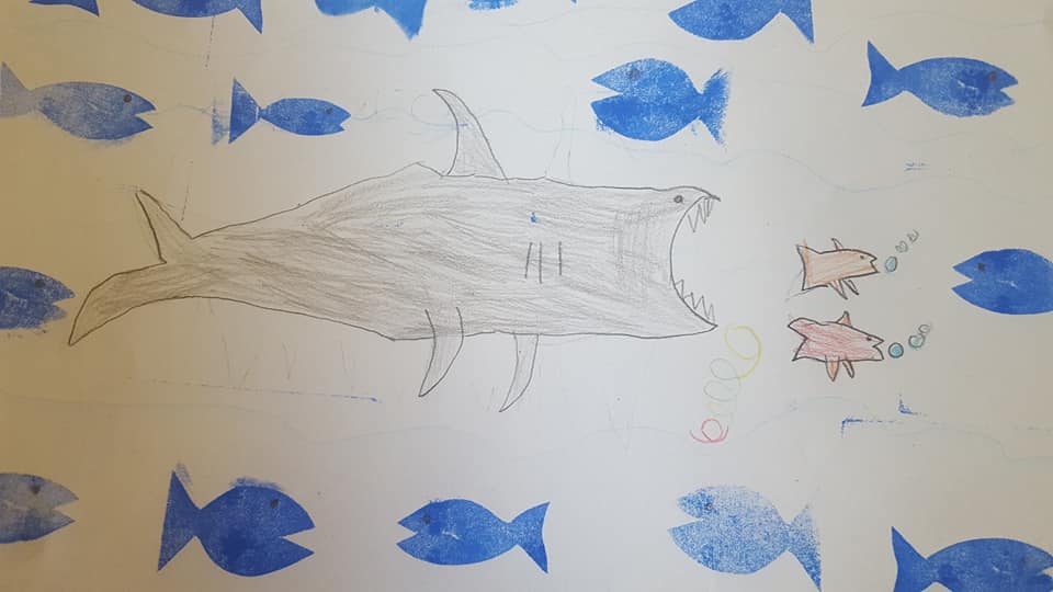 53900767_2352389498146797_4352629873353687040_n_2352389494813464