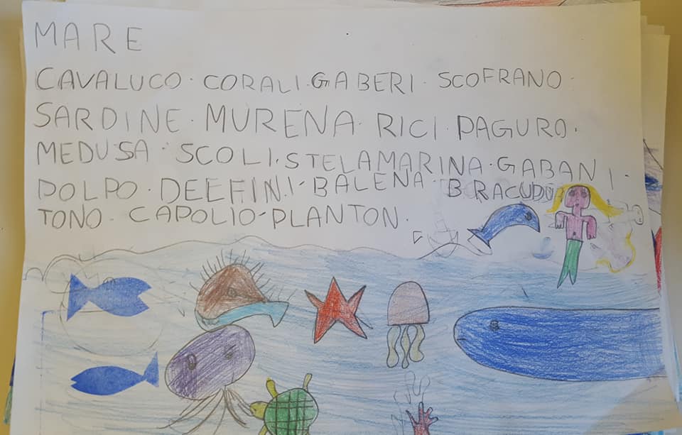 54432822_2355211514531262_7690271962920124416_n_2355211511197929