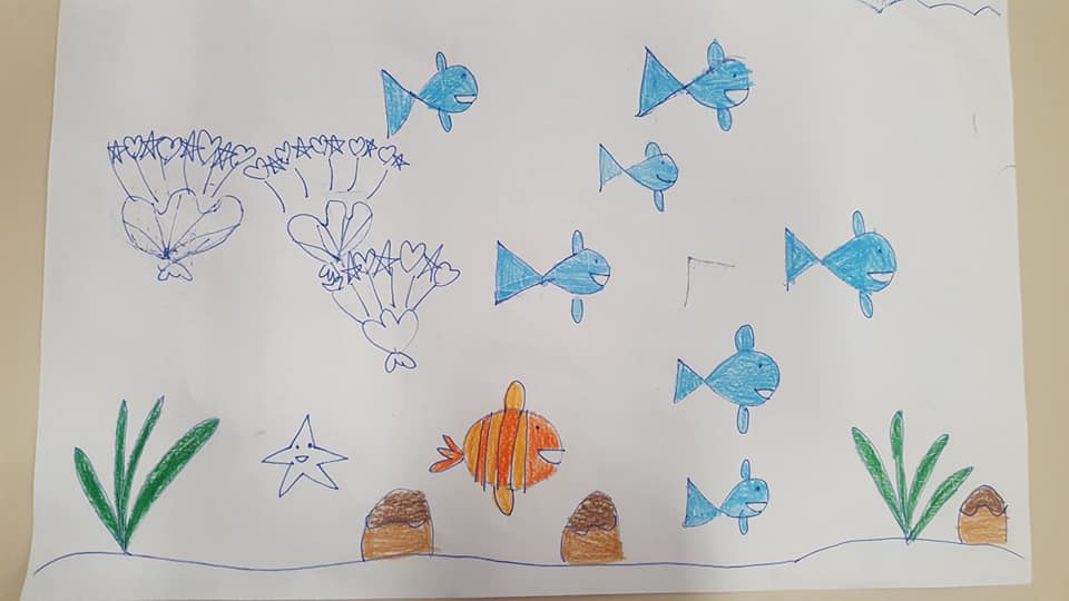 54435232_2349383341780746_7366737458106466304_n_2349383338447413