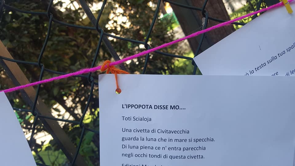 54436375_2366264866759260_3671163630293876736_n_2366264863425927