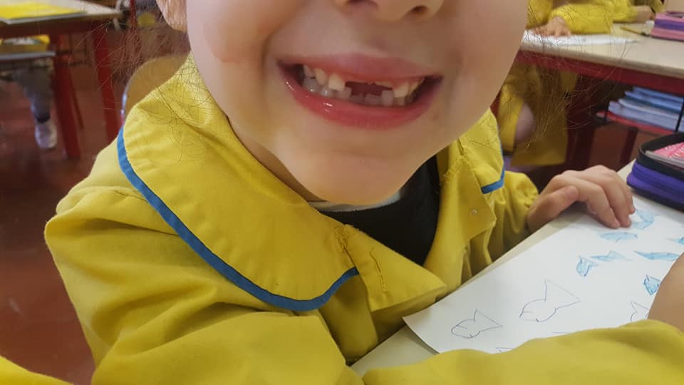 54436427_2349384181780662_7484830942574411776_n_2349384178447329