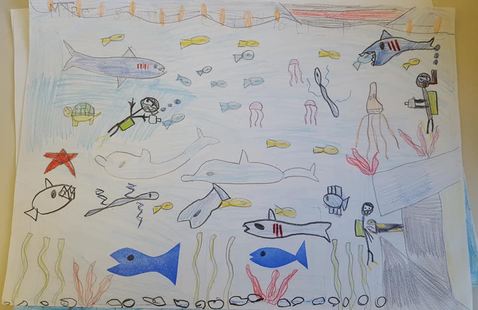 54521286_2355211871197893_3255334057860399104_n_2355211867864560