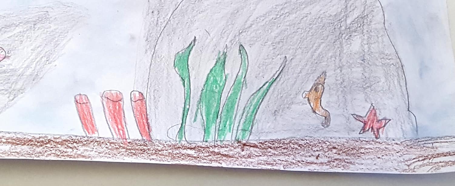 54728954_2355212617864485_386701885916053504_o_2355212611197819