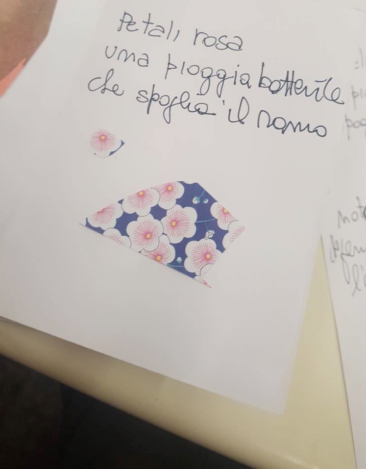 55557249_322132218499645_2685800787157712896_n