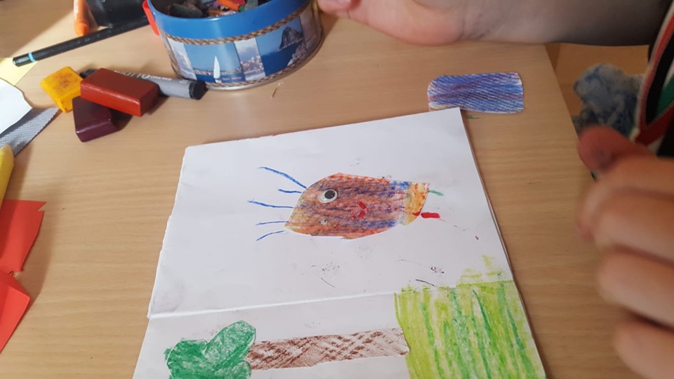 60726987_1126076294268447_6371081566931648512_n