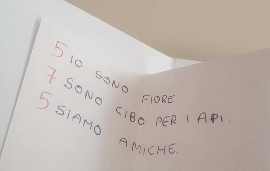 Questa immagine ha l'attributo alt vuoto; il nome del file è 72437703_2750725398313203_6305380640455917568_n.jpg